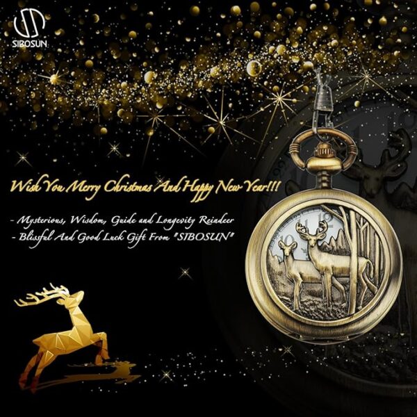 SIBOSUN Vintage Dr Who Pocket Watch with Bronze Case Quartz White Dial and Chain - Image 6